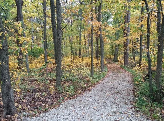 Christy Woods, United States